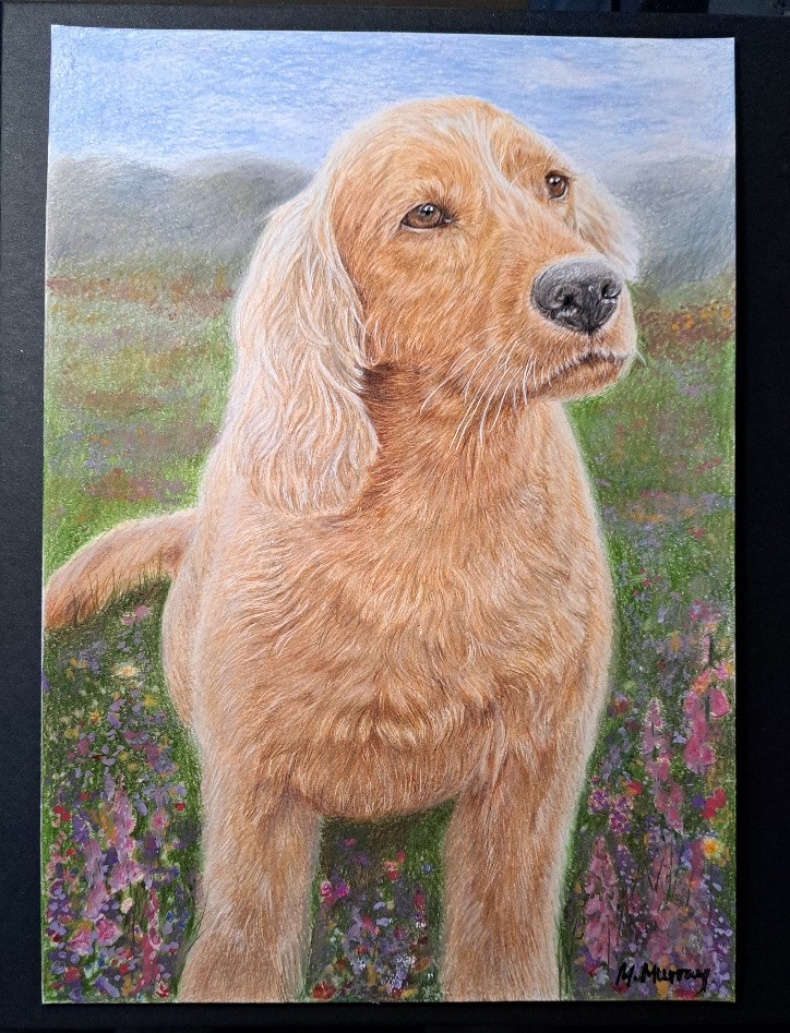 Golden Retriever in wildflower field